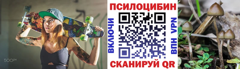 Псилоцибиновые грибы мицелий  Ильский 